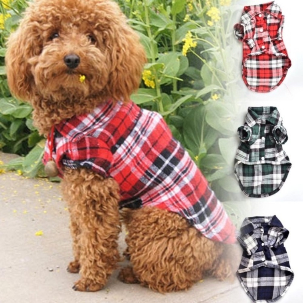 Plaid puppy shirt